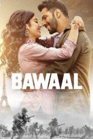Bawaal (2023) Hindi HD