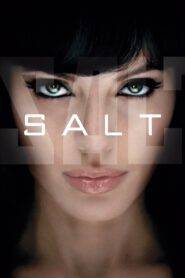 Salt (2010) Hindi Dubbed
