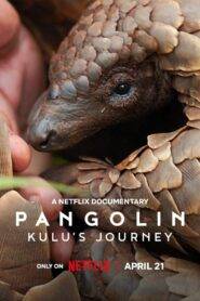 Pangolin: Kulus Journey (2025) Hindi Dubbed Netflix