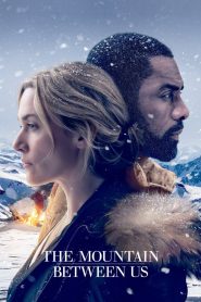 The Mountain Between Us (2017) Hindi Dubbed